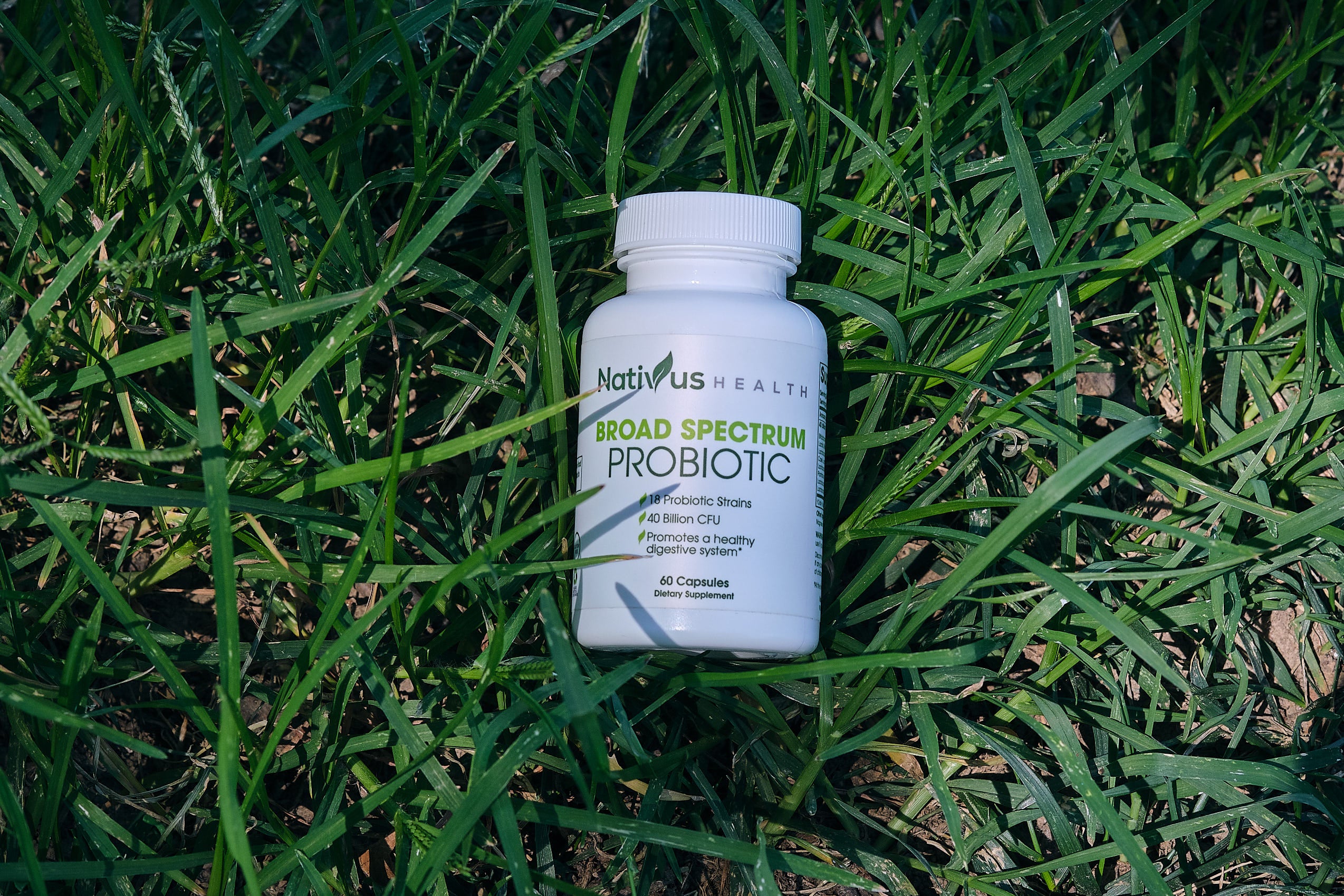 Here's What Can Kill Probiotics NativusHealth